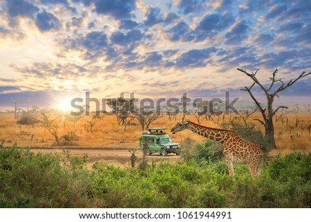 amazing Tanzania Serengeti natural park Royalty-Free Stock Photo #1061944991