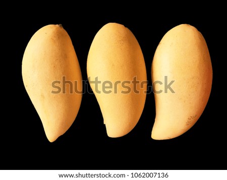 mango yellow tropical fruit of summer, sweet nature fruit