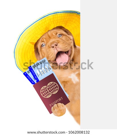 Funny puppy with summer hat holds airline tickets and passport behind white banner. isolated on white background