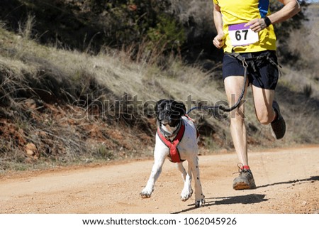 Dog and man taking part in a popular canicross race
