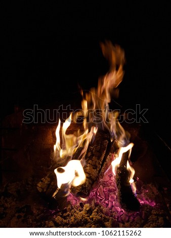 Fire burning in the fireplace 