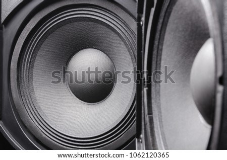 Professional studio speaker. Musical speaker. High quality sound concept.