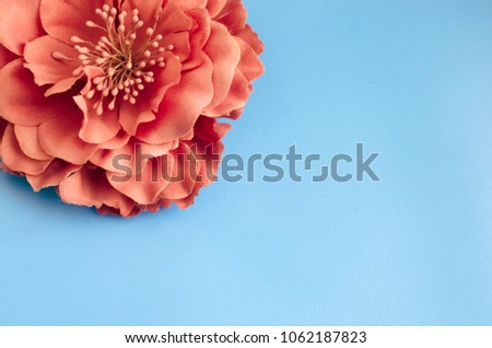Single chrysanthemum flower on green blue background spring greeting card copy space