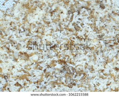 ants egg together for cooking.Ant eggs background.