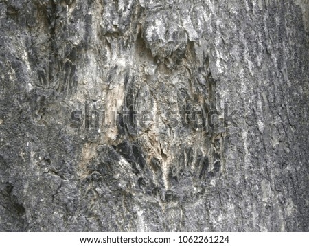 Abstract broken gray and brown color tree bark textured background