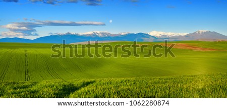 Beautiful green carpet over valley and mountain Jakupitsa with peak Solunska Glava in distance. Agricultural concept.  