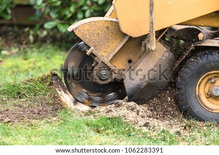 Stump grinder in action Royalty-Free Stock Photo #1062283391