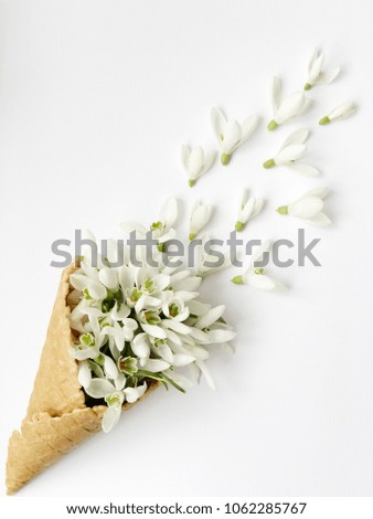snowdrops in waffle cone on white background. rustic spring flat lay with snowdrops.