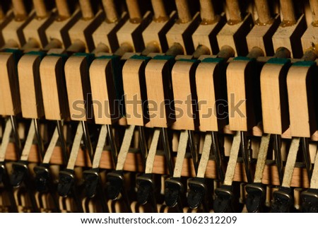 Piano strings sound tuning music. The tuner of a musical instrument.