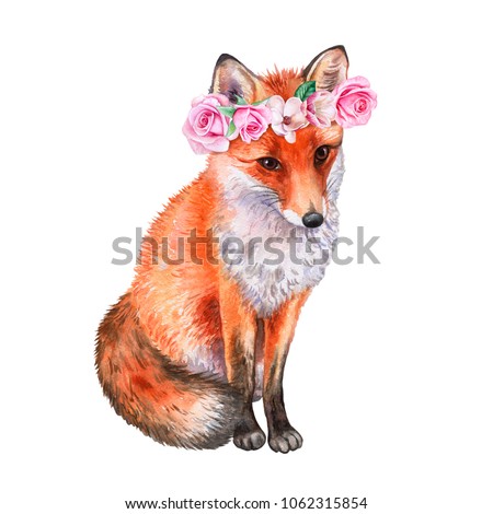 Fox in a flower wreath. Crown with roses. Watercolor. Illustration. Template. Close-up. Clip Art. Handmade Image. Picture