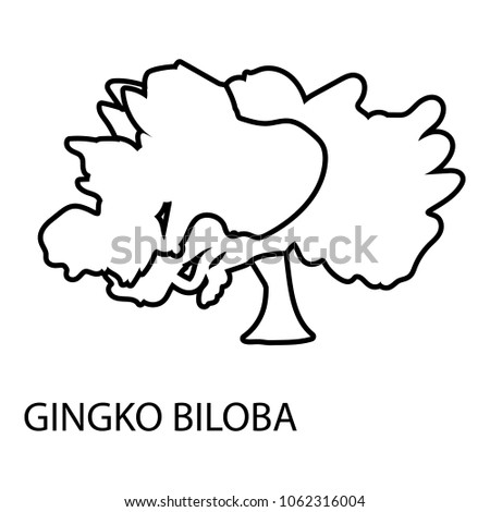 Gingko biloba icon. Outline illustration of gingko biloba vector icon for web