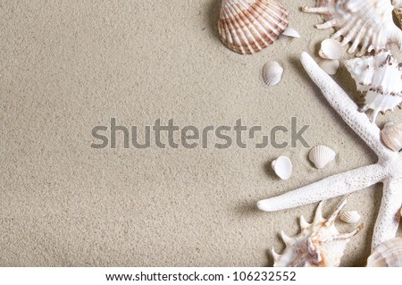 sea shells and starfish with sand as background