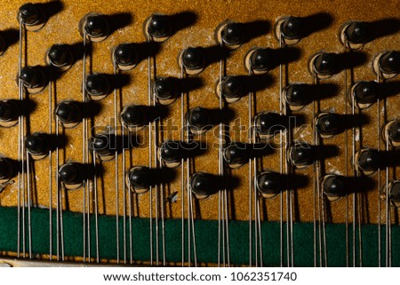 Piano strings sound tuning music. The tuner of a musical instrument.