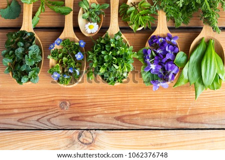 Fresh wild edible spring herbs on wooden spoons Royalty-Free Stock Photo #1062376748