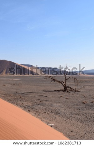 Sossusvlei National Park, scenic landscape desert in Namibia, Africa