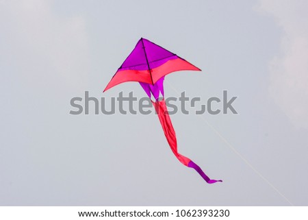 beauty of the long tailed kite