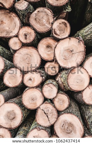 Pile of tree logs stacked in the forest ready to be taken and processed into building materials.
