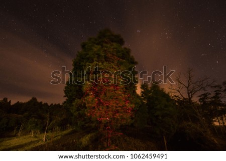 magic tree with stars
