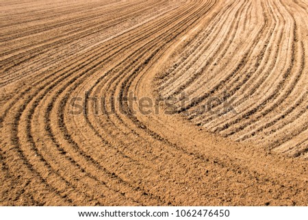 Pre-Food Production and a Plowed Field: Brown dirt field tilled in an interesting pattern of straight and curved lines. Suitable as a background image or for hotel/motel and office rooms or lobbies.