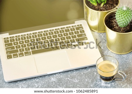 Laptop, cup of coffee and succulent flowers in pots on stone background.