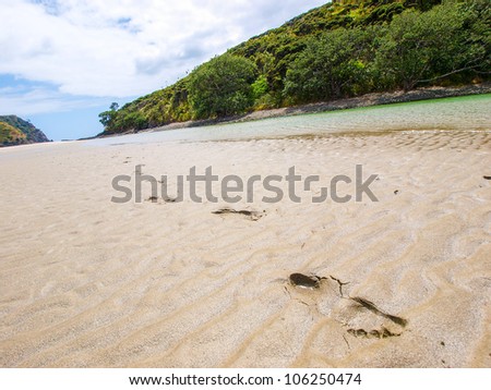 footprint on the sand, New Zealand