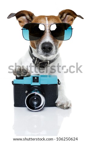 dog taking pictures with a fancy photo camera Royalty-Free Stock Photo #106250624