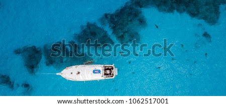 Drone View on Lemon and Caribbean Reef Sharks at Tigerbeach, Bahamas