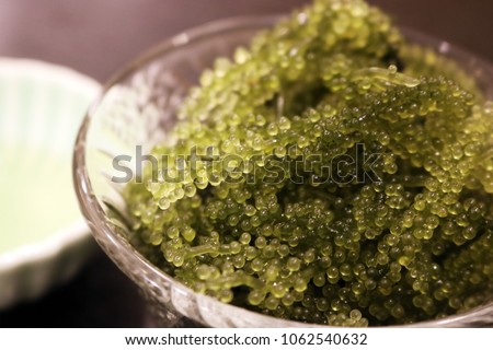 Sea Grapes seaweed (Caulerpa Lentillifera), the famous food in Okinawa, Japan, that served on a ceramic dish with sour sauce.