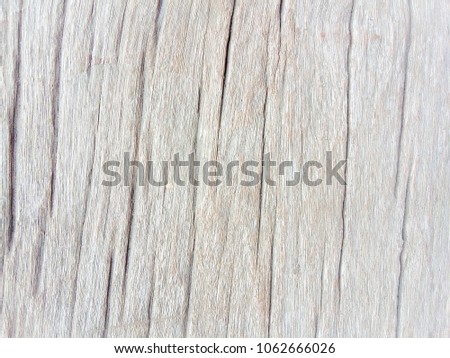 Wood old textures white color floor wall background