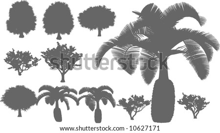 Tropical trees, grass, plant vector