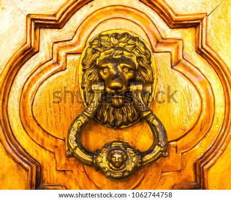 Door with brass knocker in the shape of a lion,  beautiful entrance to the house, vintage decoration