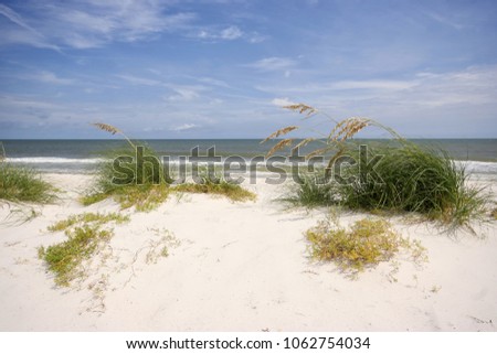 Sand dunes with weed grass and ocean and blue sky in Florida, USA