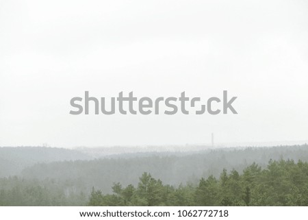 View of misty fairytale forest in the rainy foggy day. Far horizon. Retro vintage effect.