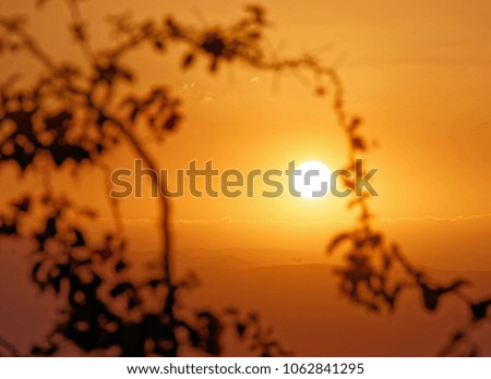 Sunset at the Dead Sea, with a view of the coast of Israel and a branch with leaves in the foreground on the beach of Amman, Jordan, middle east