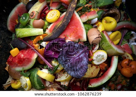 Colorful Compost Bin in New York Royalty-Free Stock Photo #1062876239