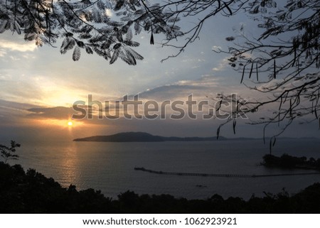 Silhouette picture of tree and leaf with sunset at evening with yellow light on sky with sea and mountain