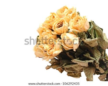 Withered rose bouquet
