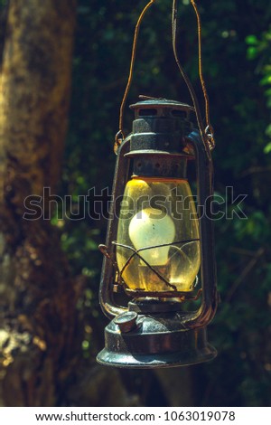 Old Lamp in a forest