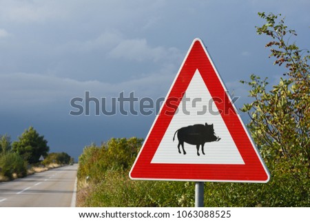 Traffic sign warning about wild boars near the road. Croatia. 