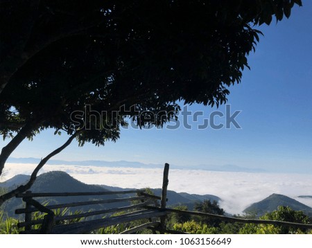 The morning with the sea of mist