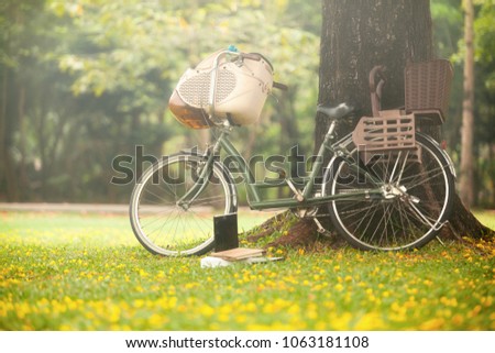 vintage bicycle in the park under the tree on the ground with grass and yellow flowers and notebooks.