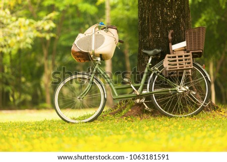 Bicycle in the park under the tree on the ground with grass and yellow flowers and book