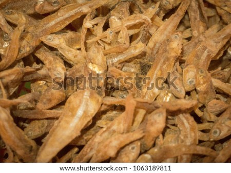 a dried salted small fish with closeup view in indonesia