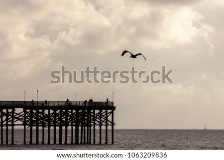 Flying Pelican with People and Pier all in  Silhouette