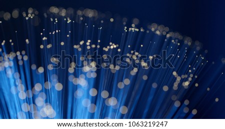 Optical fiber light 
