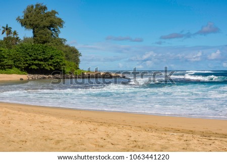 Kauai coast with sand beach and amazing blue water,travel,tourism