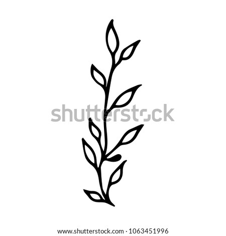 Branch with leaves vector illustration. Ink drawn herbal in sketch style for print, card, wrapping, textile and other vintage design.