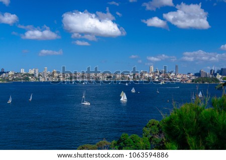 View onto Port Jackson and Rose Bay.