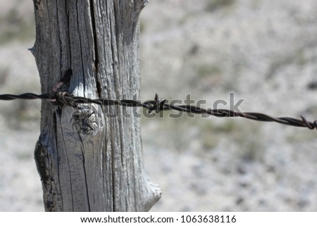 Old Barbed Wire Fence