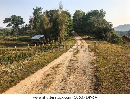 Closed up in the morning, the countryside of northern Thailand, traditional, Lanna style, there're bamboo house and around  the village have rice paddies,bufflo enclosure and many of greenery forest.